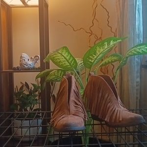 Coconuts by Matisse - Tan Boots/ Booties/ Ankle boots / shoes